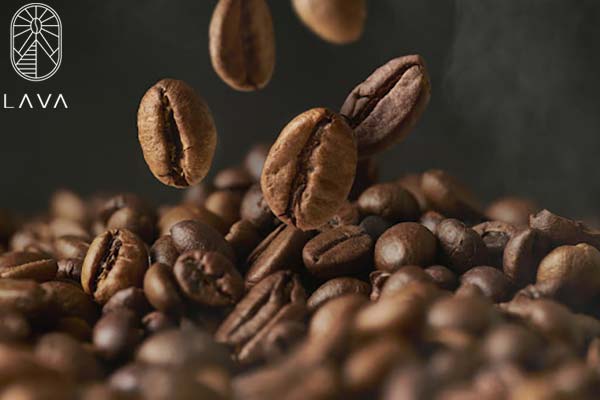 دانه قهوه روبوستا (Robusta)